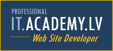 Web Site Developer